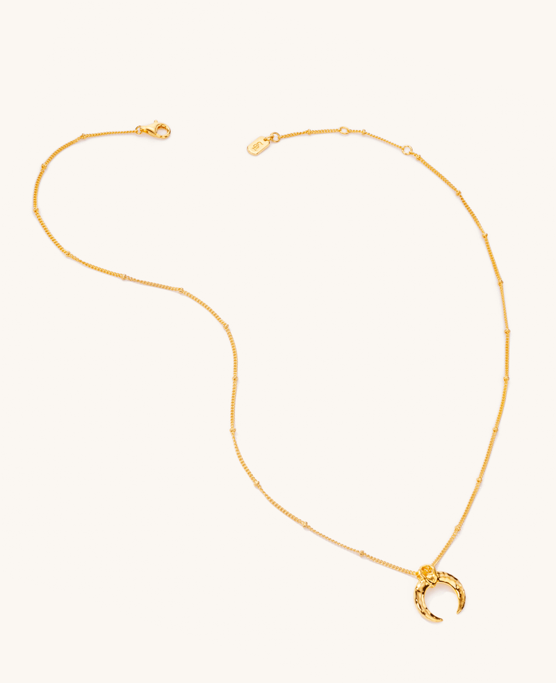 Calypso Horn Necklace