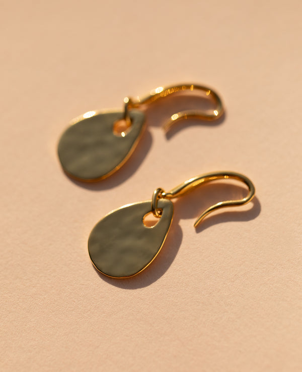 Calypso Dangle Hook Earrings Gold