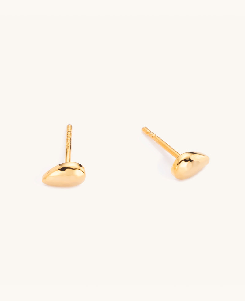 Calypso Studs