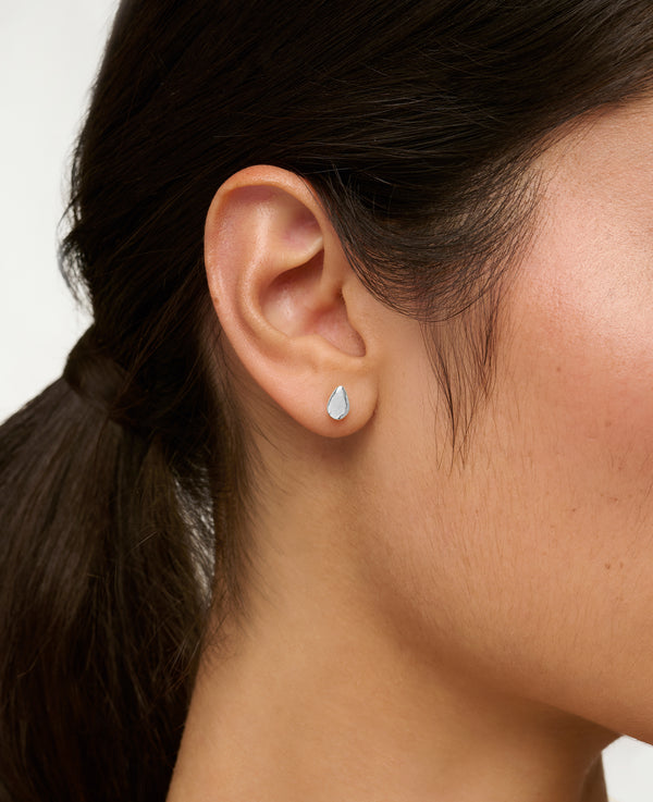 Calypso Studs